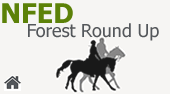 new forest news