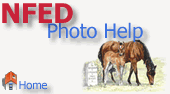 NFED Photo Help