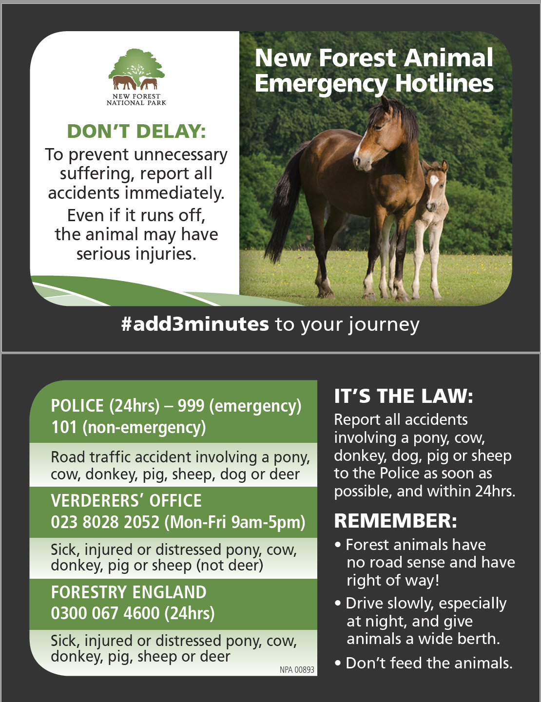 Reporting Sick or Injured Animals & Traffic Incidents in the New Forest
