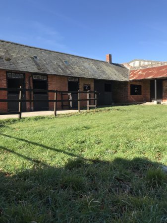 Photo for ad 185574