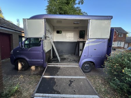 Photo for ad 186952