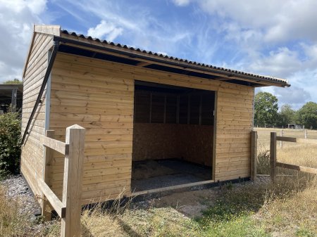 Photo for ad 187428