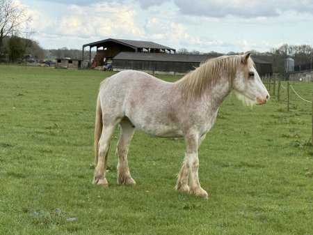 Photo for ad 189298
