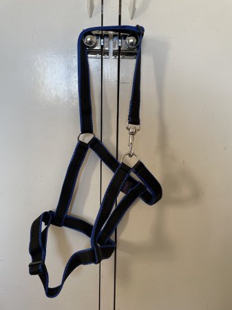 Photo for ad 189354