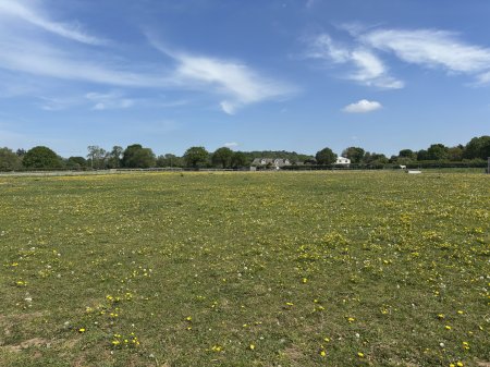 Photo for ad 189388
