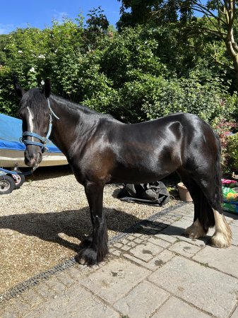 Photo for ad 189706