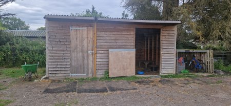 Photo for ad 189991