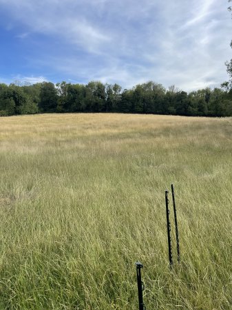 Photo for ad 190138