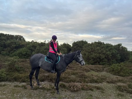 Photo for ad 190633