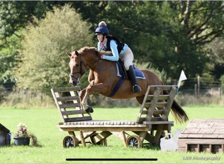 Photo for ad 190850
