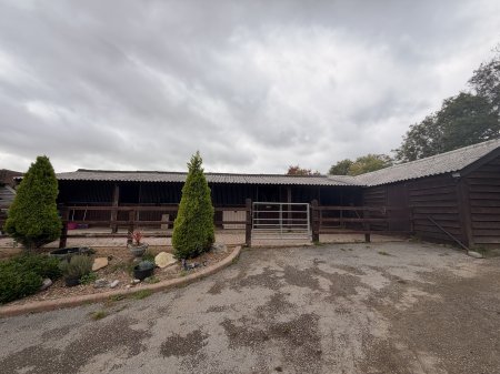Photo for ad 190915