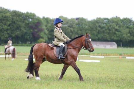 Photo for ad 190947