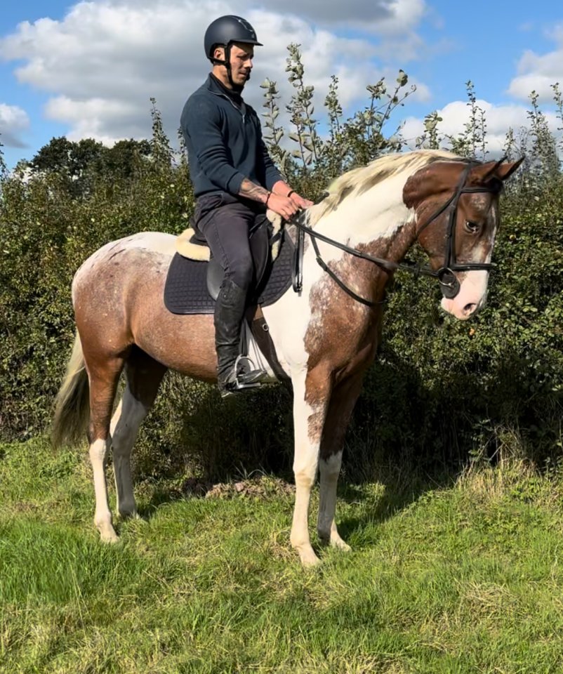 Potential riding club allrounder
