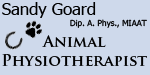 Wessex Physio
